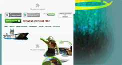 Desktop Screenshot of bioislandpr.com